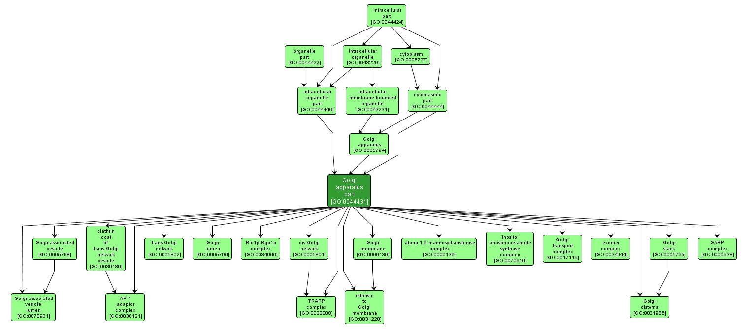 GO:0044431 - Golgi apparatus part (interactive image map)