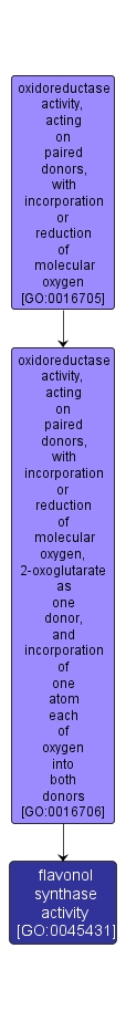 GO:0045431 - flavonol synthase activity (interactive image map)