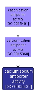 GO:0005432 - calcium:sodium antiporter activity (interactive image map)
