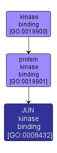 GO:0008432 - JUN kinase binding (interactive image map)