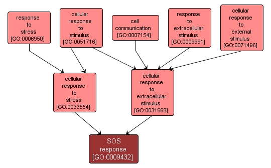 GO:0009432 - SOS response (interactive image map)