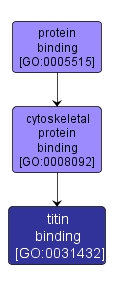 GO:0031432 - titin binding (interactive image map)