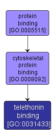 GO:0031433 - telethonin binding (interactive image map)