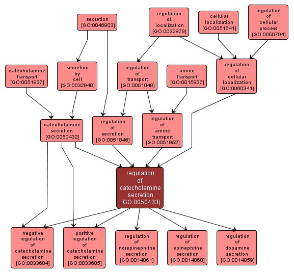 GO:0050433 - regulation of catecholamine secretion (interactive image map)