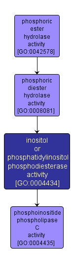GO:0004434 - inositol or phosphatidylinositol phosphodiesterase activity (interactive image map)