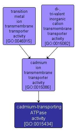 GO:0015434 - cadmium-transporting ATPase activity (interactive image map)
