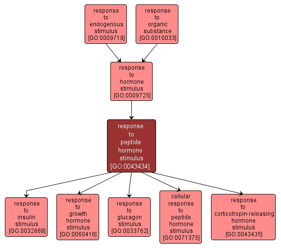 GO:0043434 - response to peptide hormone stimulus (interactive image map)