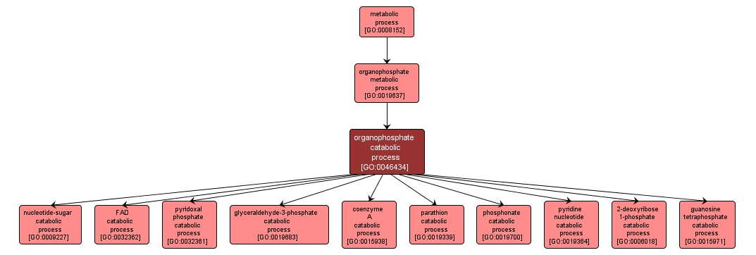 GO:0046434 - organophosphate catabolic process (interactive image map)