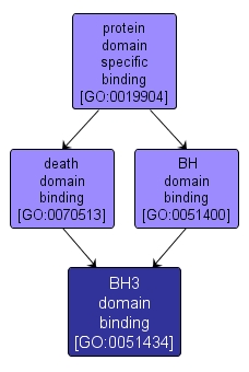 GO:0051434 - BH3 domain binding (interactive image map)