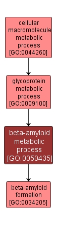 GO:0050435 - beta-amyloid metabolic process (interactive image map)