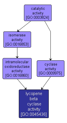 GO:0045436 - lycopene beta cyclase activity (interactive image map)