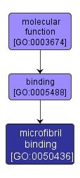 GO:0050436 - microfibril binding (interactive image map)