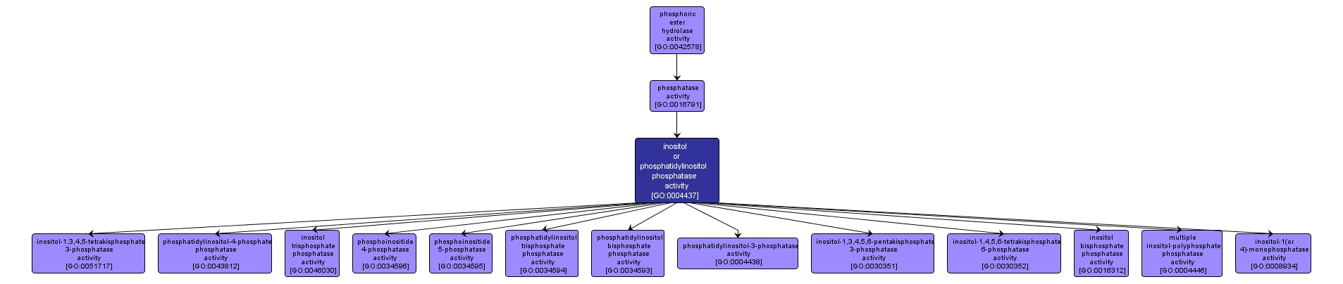 GO:0004437 - inositol or phosphatidylinositol phosphatase activity (interactive image map)