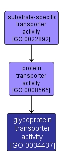 GO:0034437 - glycoprotein transporter activity (interactive image map)