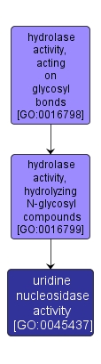 GO:0045437 - uridine nucleosidase activity (interactive image map)