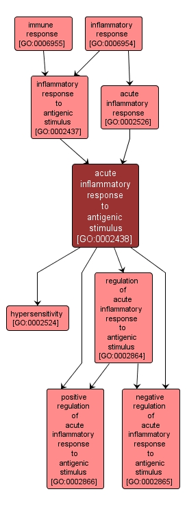 GO:0002438 - acute inflammatory response to antigenic stimulus (interactive image map)