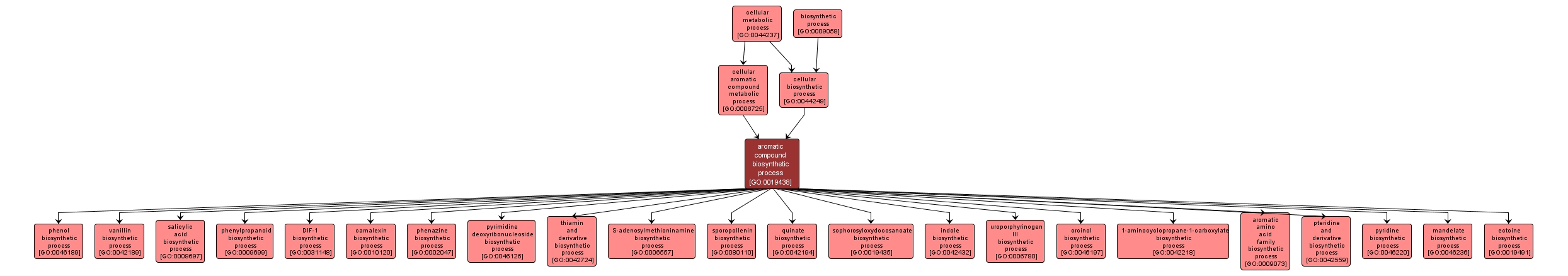 GO:0019438 - aromatic compound biosynthetic process (interactive image map)