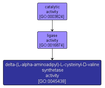 GO:0045438 - delta-(L-alpha-aminoadipyl)-L-cysteinyl-D-valine synthetase activity (interactive image map)