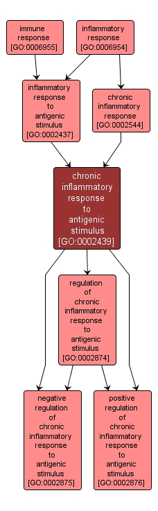 GO:0002439 - chronic inflammatory response to antigenic stimulus (interactive image map)