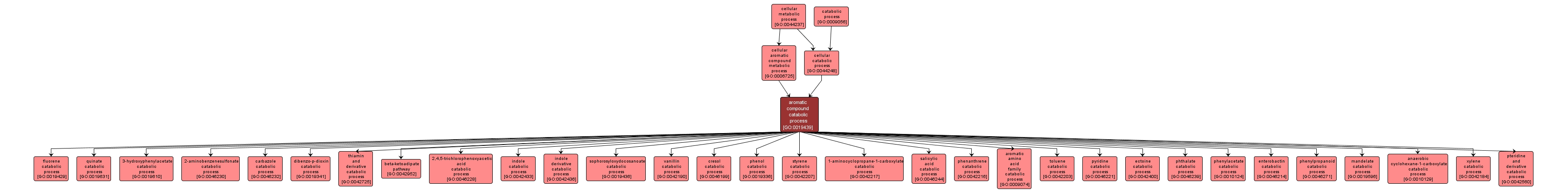 GO:0019439 - aromatic compound catabolic process (interactive image map)