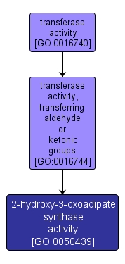 GO:0050439 - 2-hydroxy-3-oxoadipate synthase activity (interactive image map)