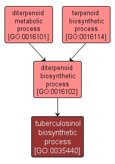 GO:0035440 - tuberculosinol biosynthetic process (interactive image map)