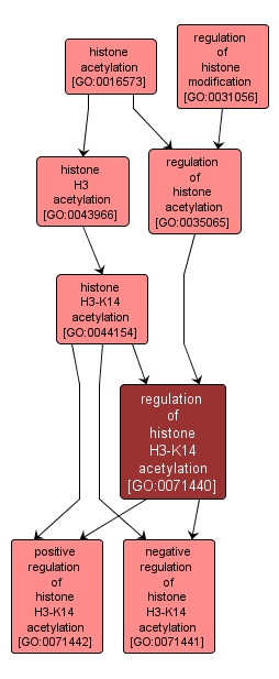 GO:0071440 - regulation of histone H3-K14 acetylation (interactive image map)