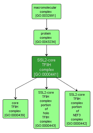GO:0000441 - SSL2-core TFIIH complex (interactive image map)