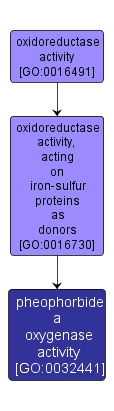 GO:0032441 - pheophorbide a oxygenase activity (interactive image map)