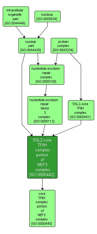 GO:0000442 - SSL2-core TFIIH complex portion of NEF3 complex (interactive image map)
