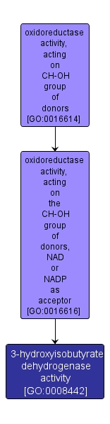 GO:0008442 - 3-hydroxyisobutyrate dehydrogenase activity (interactive image map)