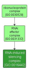 GO:0016442 - RNA-induced silencing complex (interactive image map)