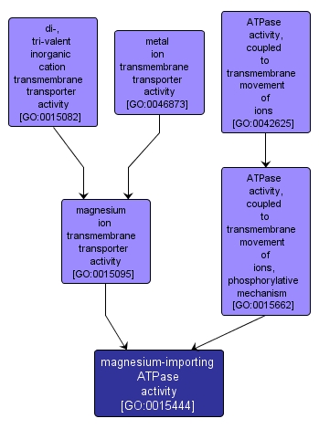 GO:0015444 - magnesium-importing ATPase activity (interactive image map)