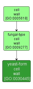GO:0030445 - yeast-form cell wall (interactive image map)