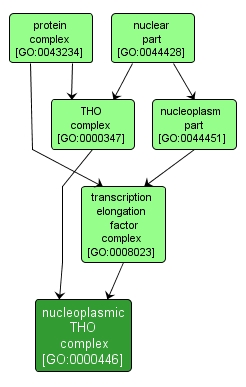 GO:0000446 - nucleoplasmic THO complex (interactive image map)