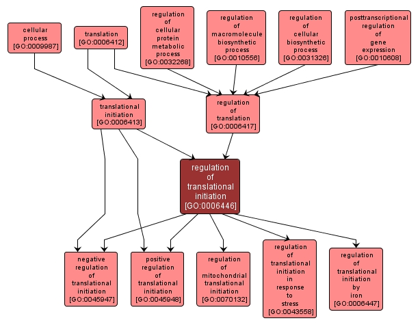 GO:0006446 - regulation of translational initiation (interactive image map)