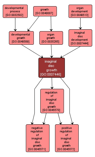 GO:0007446 - imaginal disc growth (interactive image map)