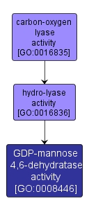 GO:0008446 - GDP-mannose 4,6-dehydratase activity (interactive image map)