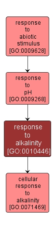 GO:0010446 - response to alkalinity (interactive image map)