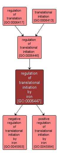 GO:0006447 - regulation of translational initiation by iron (interactive image map)