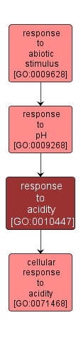 GO:0010447 - response to acidity (interactive image map)