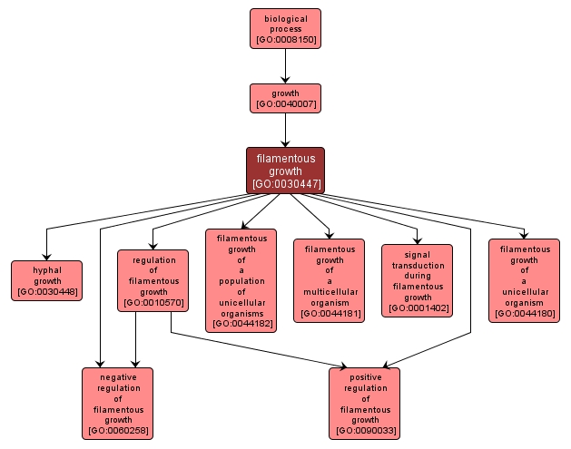 GO:0030447 - filamentous growth (interactive image map)