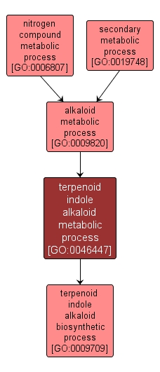 GO:0046447 - terpenoid indole alkaloid metabolic process (interactive image map)