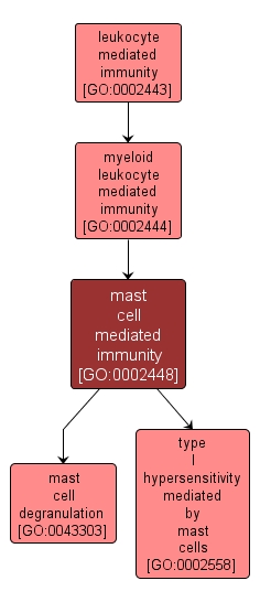 GO:0002448 - mast cell mediated immunity (interactive image map)