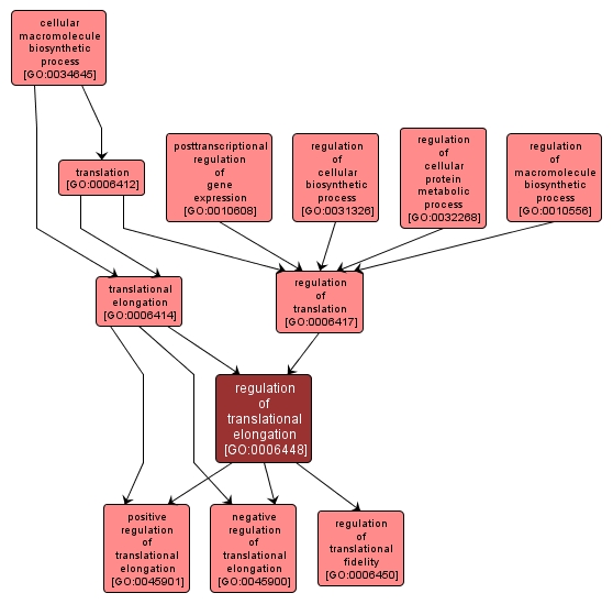 GO:0006448 - regulation of translational elongation (interactive image map)