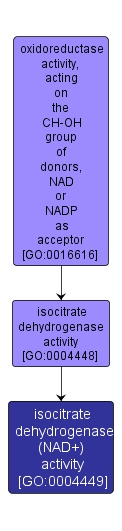 GO:0004449 - isocitrate dehydrogenase (NAD+) activity (interactive image map)