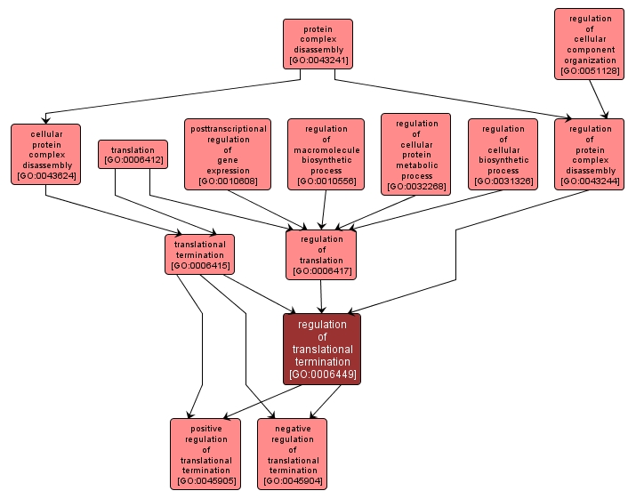 GO:0006449 - regulation of translational termination (interactive image map)