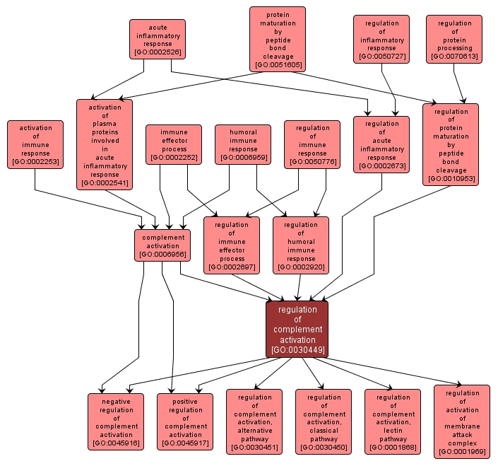 GO:0030449 - regulation of complement activation (interactive image map)