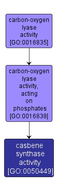 GO:0050449 - casbene synthase activity (interactive image map)