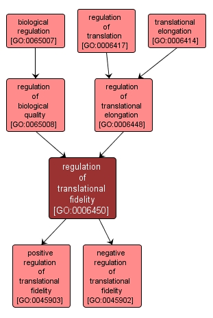 GO:0006450 - regulation of translational fidelity (interactive image map)